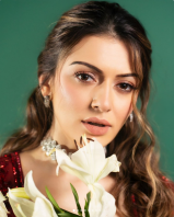 Screenshot_2024-hansika.png