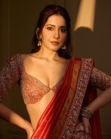 Raashi_Khanna_4819573910395952458_n.jpg